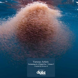 Swimming In A Digital Sea: Volume 3: Compiled By Norman H