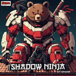 Shadow Ninja