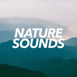 Nature Sounds