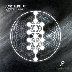 Flower of Life