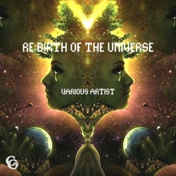 Re:Birth Of The Universe