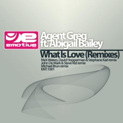 What Is Love (Remixes)