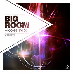 Big Room Essentials Vol. 12