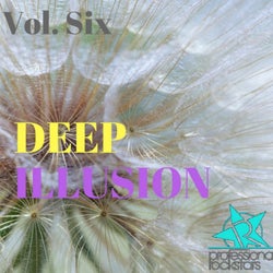 Deep Illusion