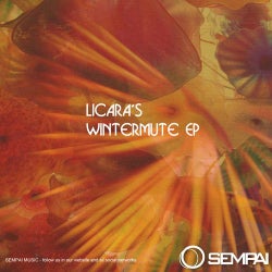 Wintermute EP