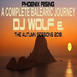 DJ WOLF e.'s TOP TEN TRACKS of DECEMBER 2018