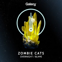 Overnight / Blame