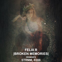 Broken Memories