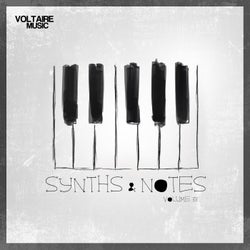 Synths And Notes 33