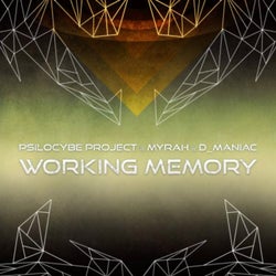 Working Memory