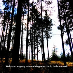 Waldspaziergang (Minimal deep electronic techno music)