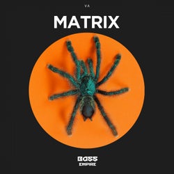 Matrix