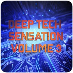 Deep Tech Sensation, Vol.3 (BEST SELECTION OF CLUBBING DEEP TECH HOUSE TRACKS)