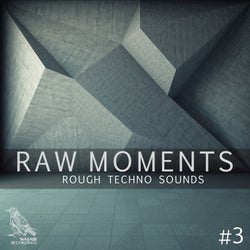 Raw Moments, Vol. 3 - Rough Techno Sounds