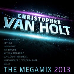 The Megamix 2013