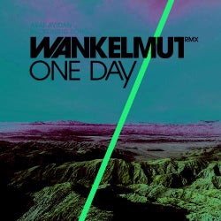 One Day / Reckoning Song (Wankelmut Remix)