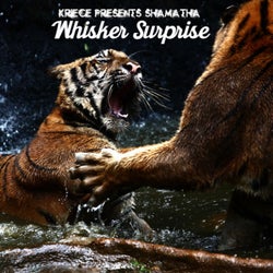 Whisker Surprise