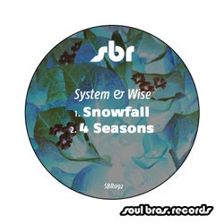 Snowfall / 4 Seasons