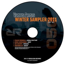 Winter Sampler 2011 Part Two