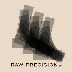 Raw Precision 19