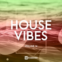 House Vibes, Vol. 14