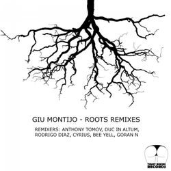 Roots Remixes