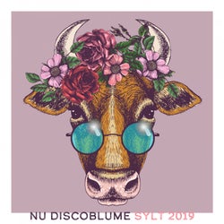 Nu Discoblume, Sylt 2019