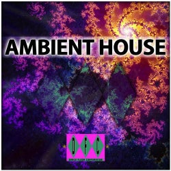 The Original Ambient House Experience