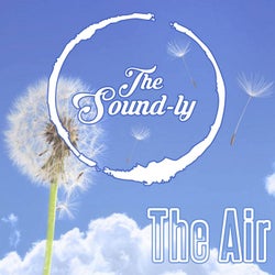 The Air