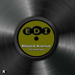 BLIZZARD AVENUE (K22 extended)