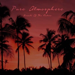 Pure Atmosphere - Sounds of the Nature