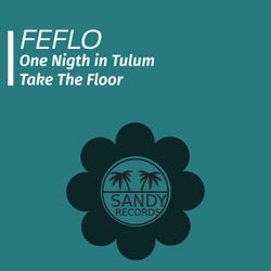 One Night in Tulum