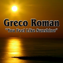 You Feel Like Sunshine (Remixes)