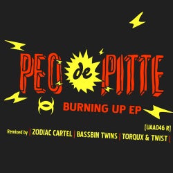 Burning Up (Remixes)