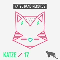 Katze 17