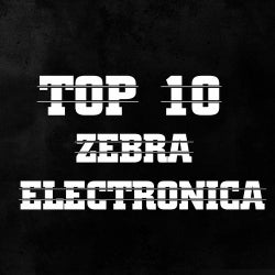 Top 10 Zebra Electronica