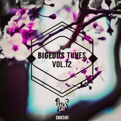 Bigeous Tunes, Vol. 12