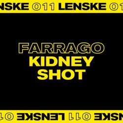 Kidney Shot EP