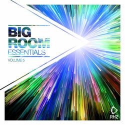 Big Room Essentials Vol. 5