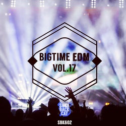 Bigtime EDM, Vol. 17