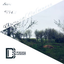 Unusual Calmness, Vol. 5