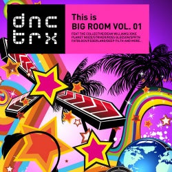 This is Big Room Vol. 01