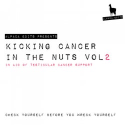 Kicking Cancer In The Nuts, Vol.2