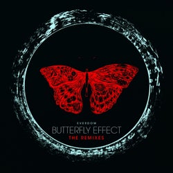 Butterfly Effect