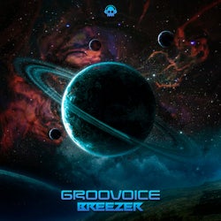 Groovoice