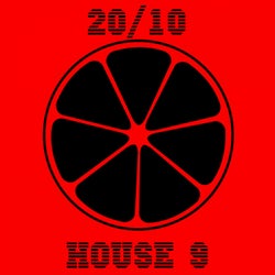 20/10 House, Vol. 9