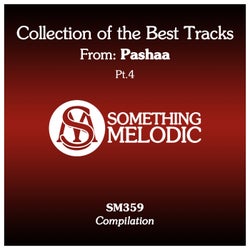 Collection of the Best Tracks From: Pashaa, Pt. 4