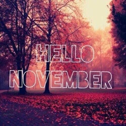 LUCA BISORI - "HELLO NOVEMBER 2014 CHART"