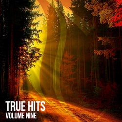 True Hits, Vol. 9