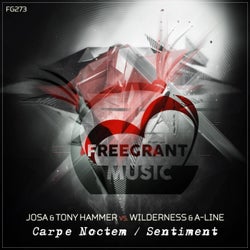 Carpe Noctem  / Sentiment